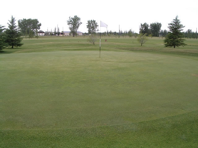 Hole 11 Green