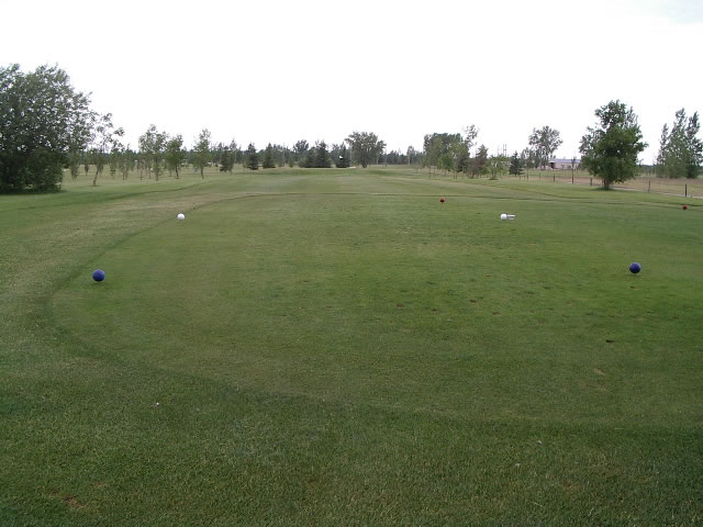 Hole 11 tees