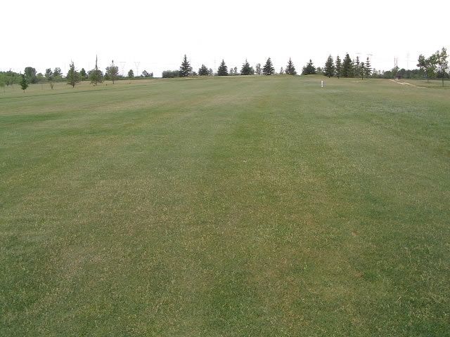 Hole 12 Middle of the Fairway