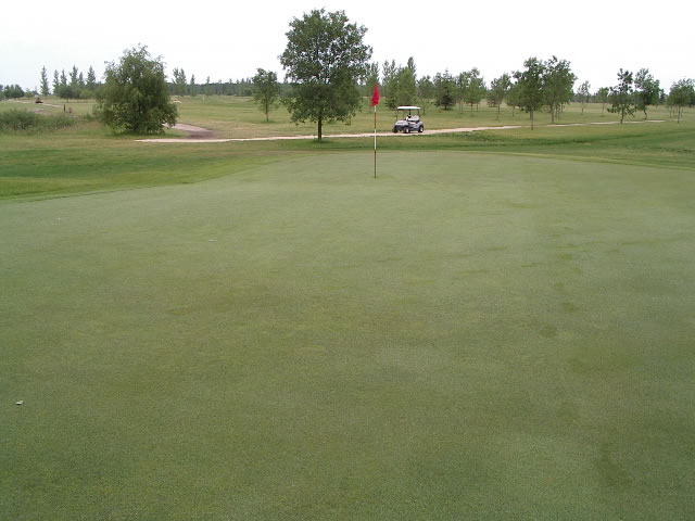 Hole 13 green