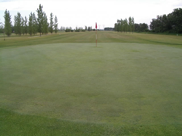 Hole 14 green