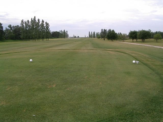 Hole 14 tees