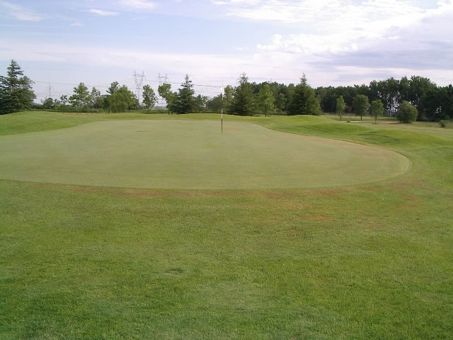 Hole 16 greens
