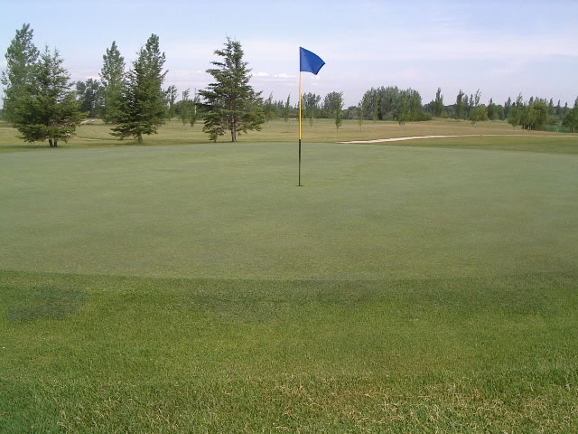 Hole 17 green