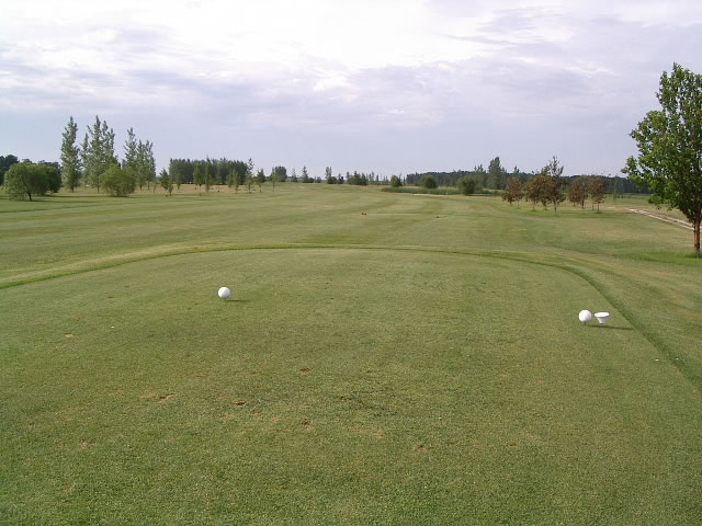 Hole 17 tees