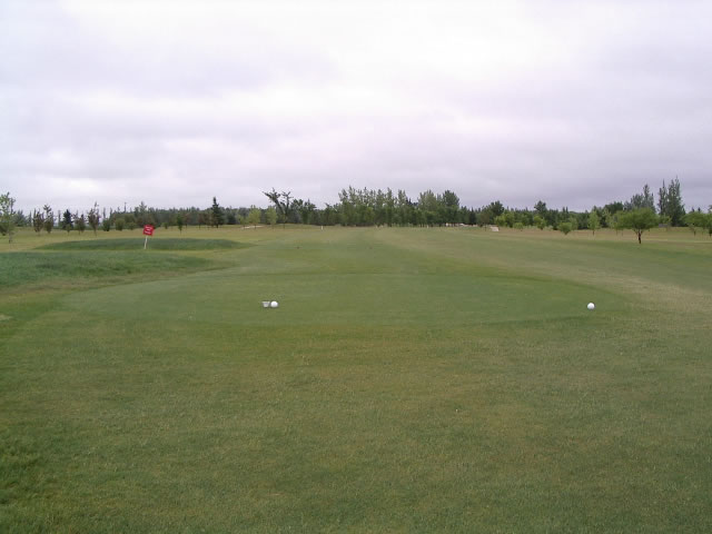 Hole 2 tees