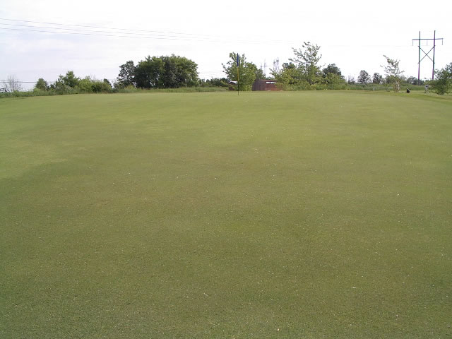 Hole 4 green