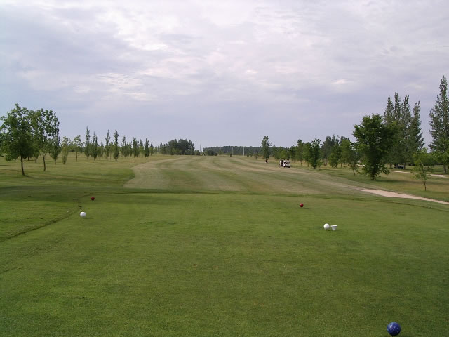 Hole 5 Tees