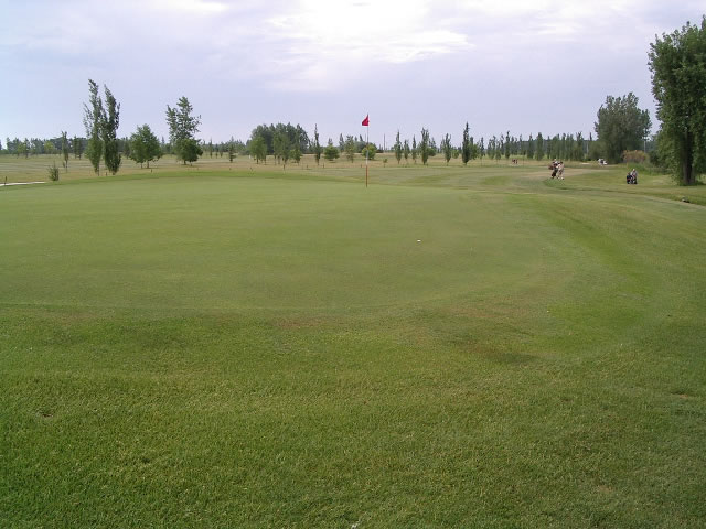 Hole 6 green