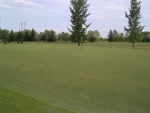 Hole 7 Green