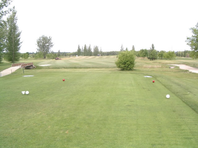 Hole 7 tees