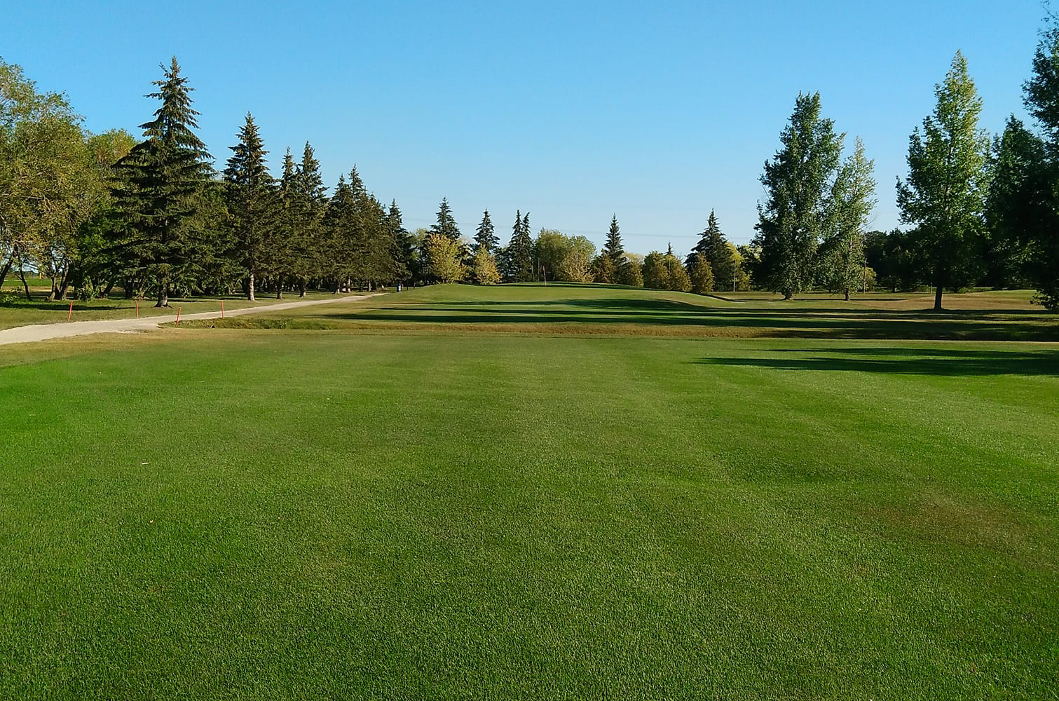 Image of golf ball on tee on grass.