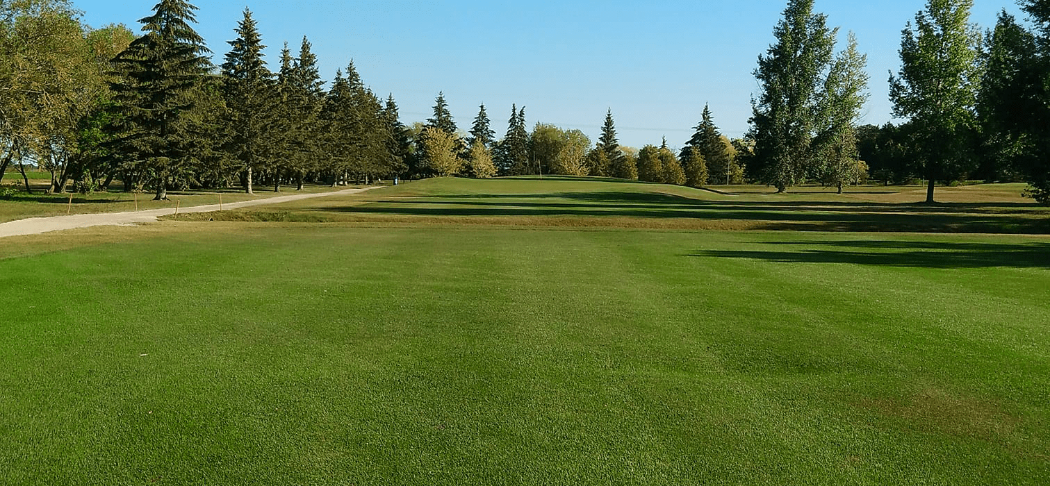 golf course fairway